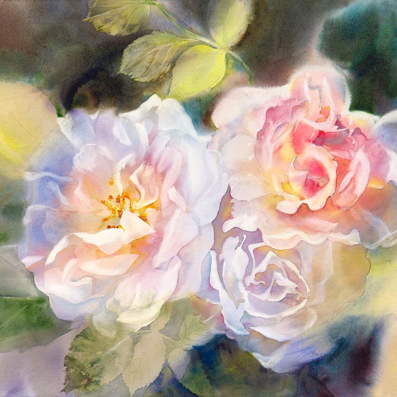 Romance With Roses