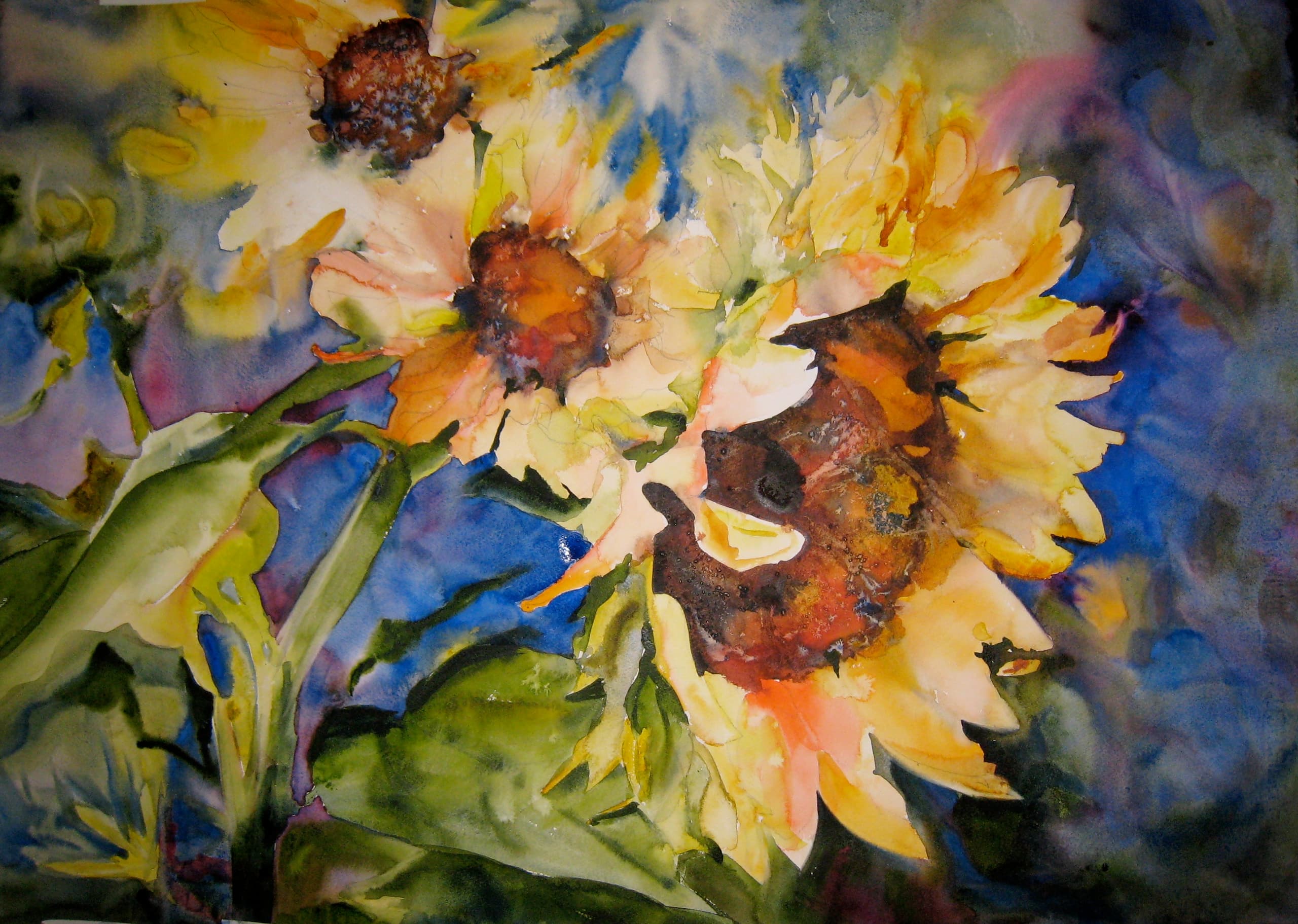 Sunflowers